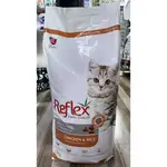 Reflex cats Kitten 15k